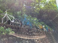 校園鐵馬藝術(另開新視窗)
